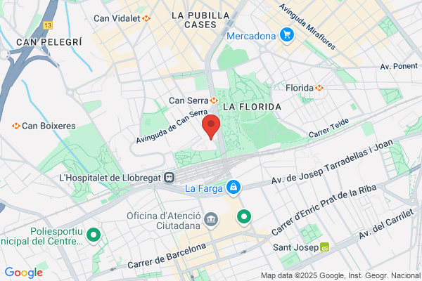 Asociación de Familiares de Enfermos Mentales