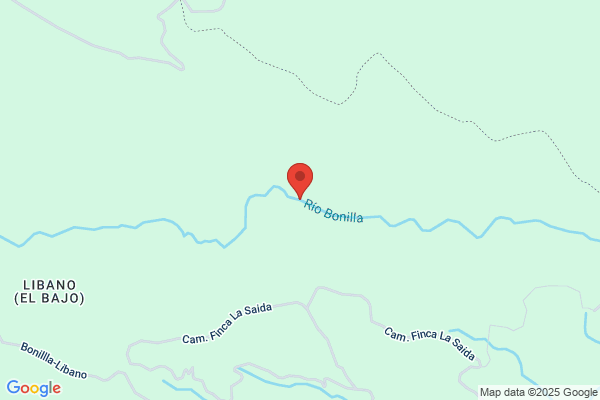 Bonilla Del Rio m.