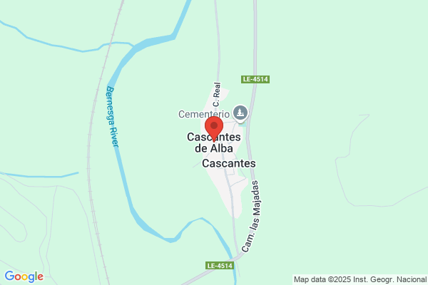 Cascante Leon c. A.