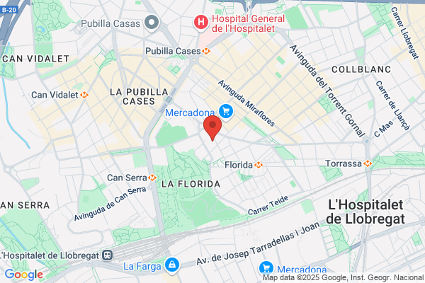 Gonzalez Donalonso s.