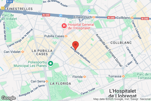 Caixa Destalvis De Terrassa (Oficines A Barcelona)