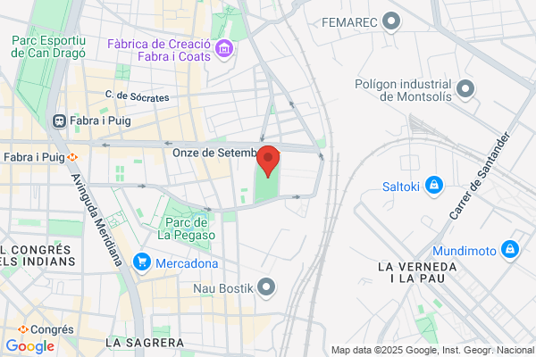 Installacions Esportives Municipals (Camp Mpal De Futbol narcis sala)