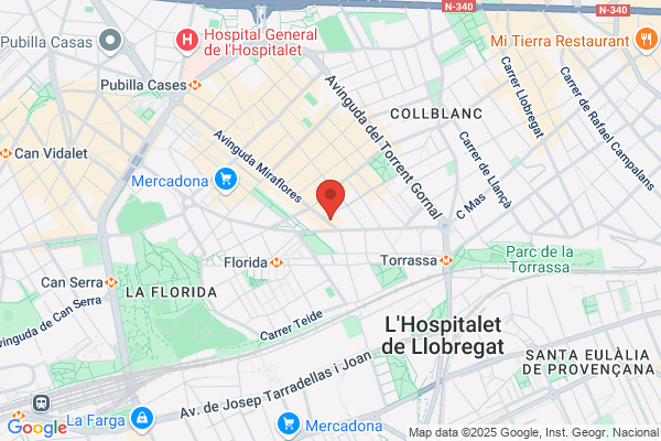 Agf Union-Fenix Seguros Y Reaseguros S. A. - Seguros generales (Sucursal hospita