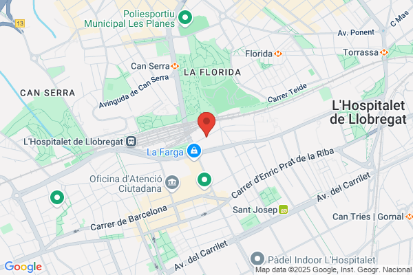 Serveis De Lascensor Manteniment Reparacio Installacio I Reformes s. L.