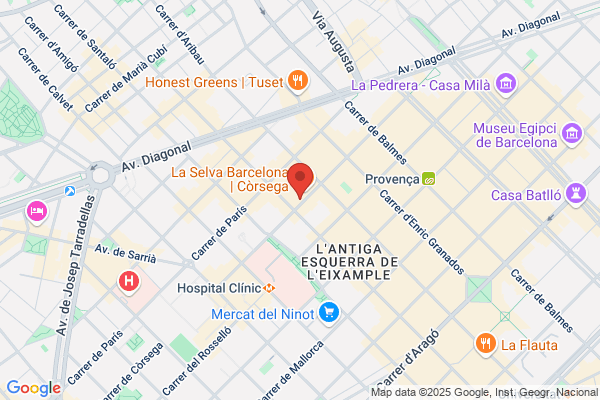 Colegio Oficial De Graduados Sociales