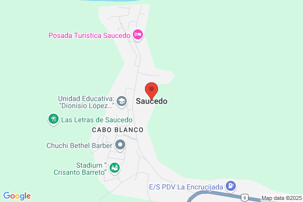 Saucedo Carapeto e.