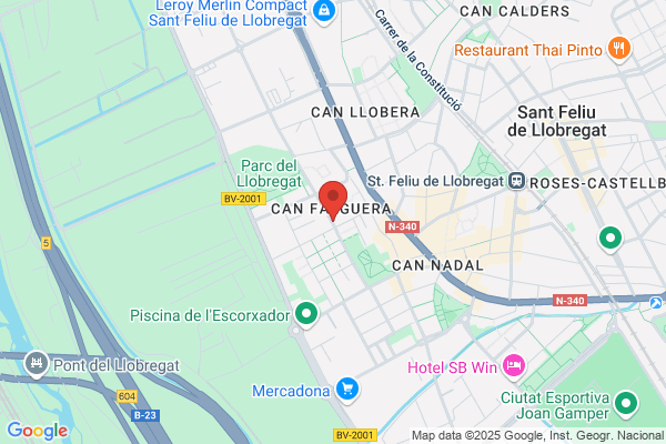 Graells jaime