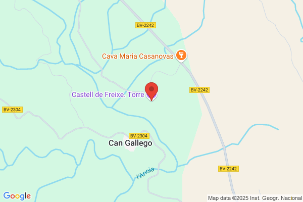 Castello Freixes e.
