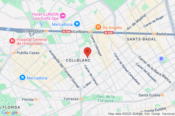 Area Guissona