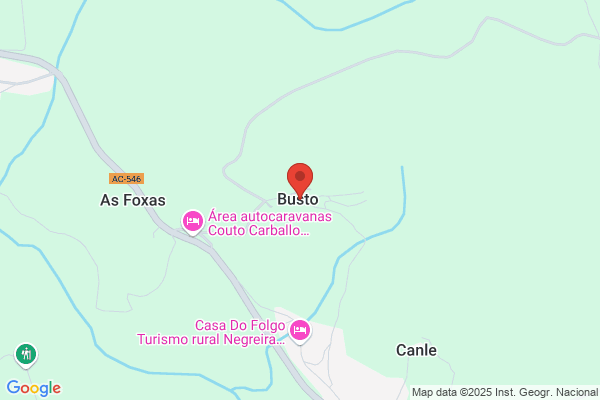 Busto Cousillas a.