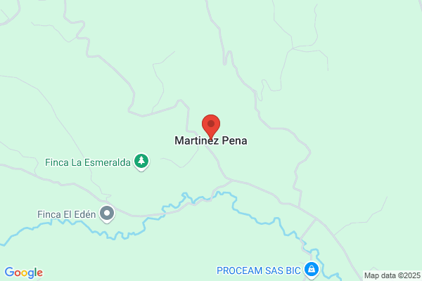 Pena Martinez a. A.