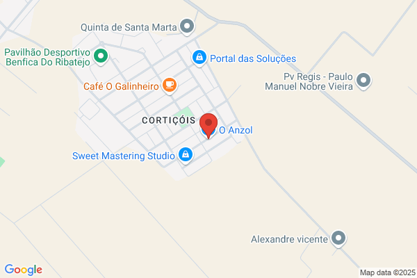 Anzol S.L.