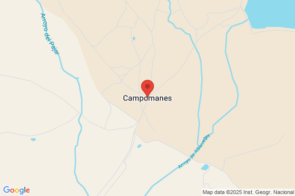 Criado Campomanes m. A.