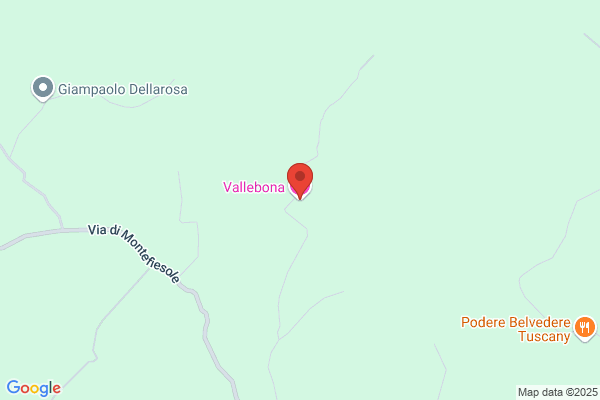 Vallebona Lopez j. L.