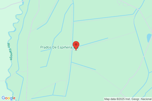 Prado Espiñeira j.
