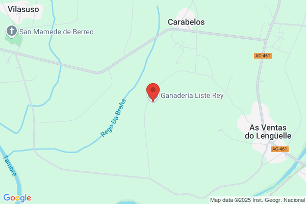 Rey Tubert a.