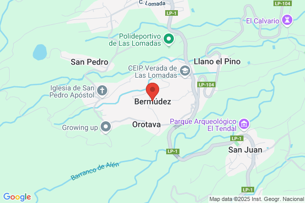 Bermudez Cruz m.