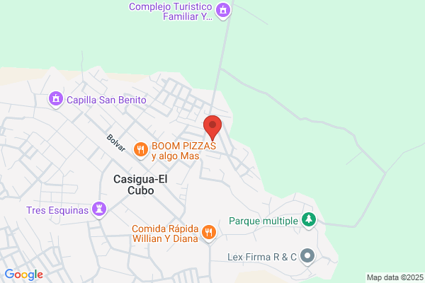 Rodriguez Carrodegua j.
