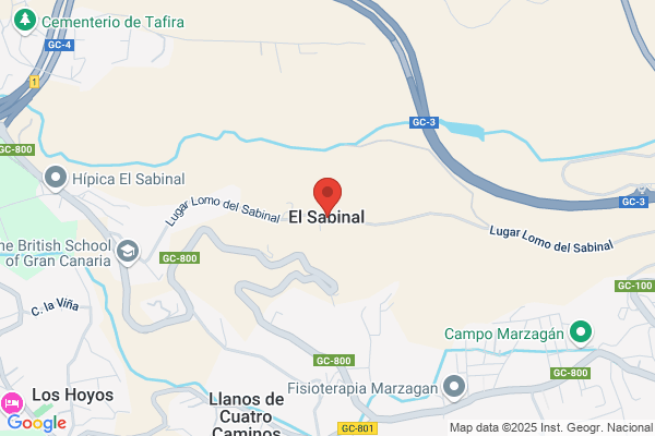 Vidente Samaba