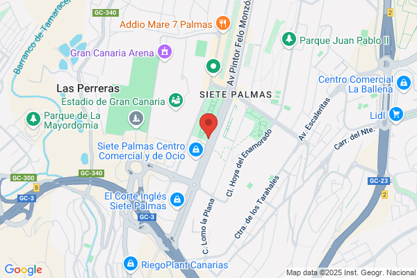 Restaurante Jardín Chino