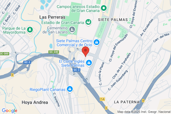 El Duque Limpieza De Vehículos
