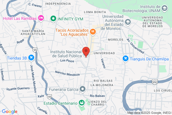 Instituto Nacional De La Salud - Informacion