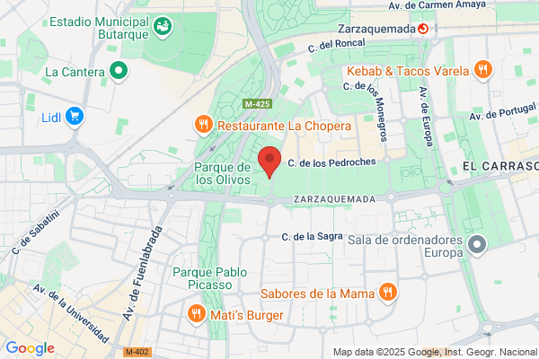 Mapfre Servicios De Informatica S.A.