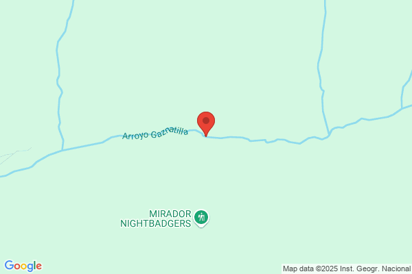 Arroyo Arroyo b.