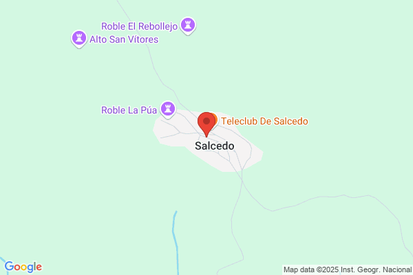Salcedo Velilla l. D.