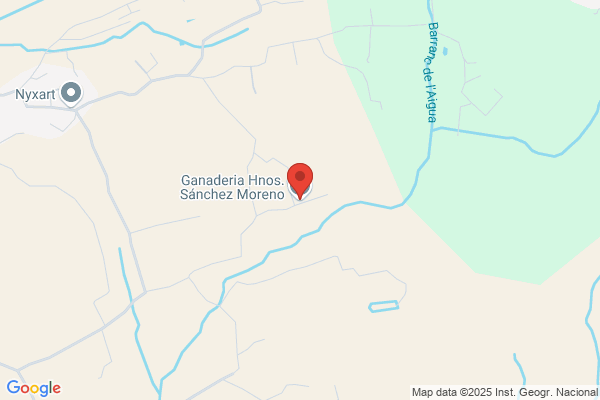 Sanchez-Manzanero Moreno j.