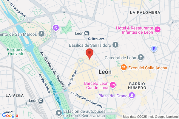 Consejo Municipal De La Juventud De Leon