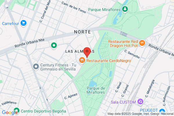Zener Elevadores Del Noroeste S. A.