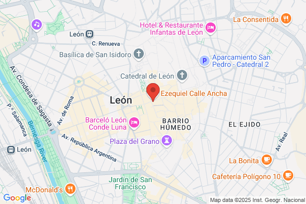Colegio Oficial De Titulados Mercantiles Y Empresariales De leon