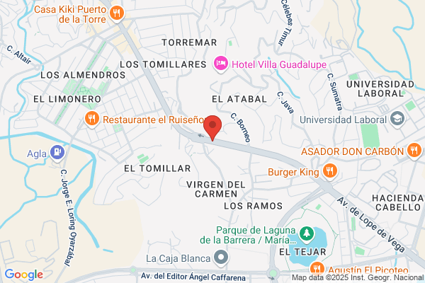 Diaz-Faes Garcia j. A.