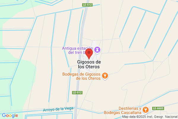 Gigosos Robles j.