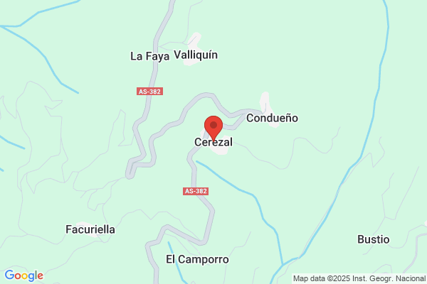 Cerezal Florez j.