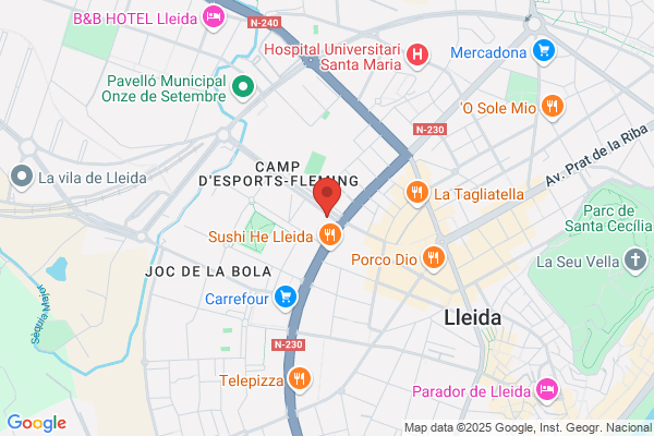 A.M. De Serveis Empresarials Lleida S.L.
