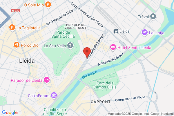 Servicios Y Traficos Lleida S.L.