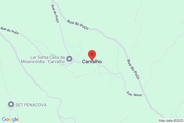 Carvalho i. J. S.