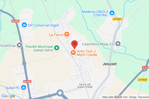 Associacio Lleidatana Per La Sindrome De Down