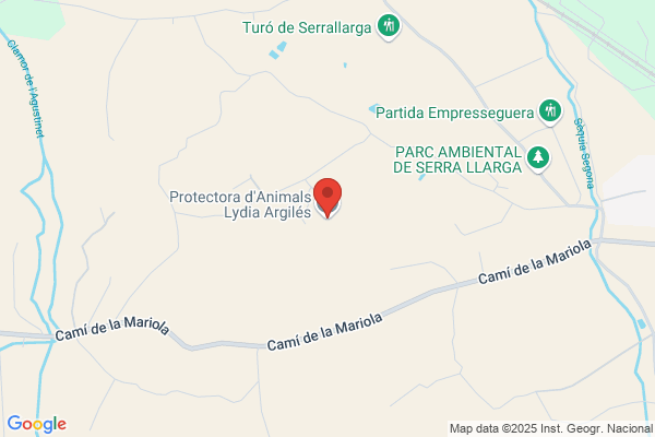 Associaco Protectora De Minusvalids Psiquics De Lleida