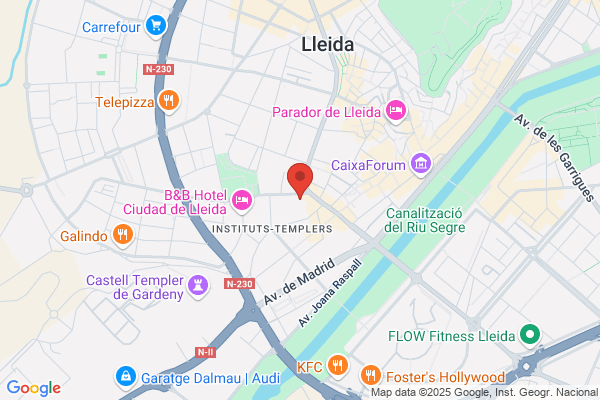 Associacio Provincial Destacio De Servei De Lleida