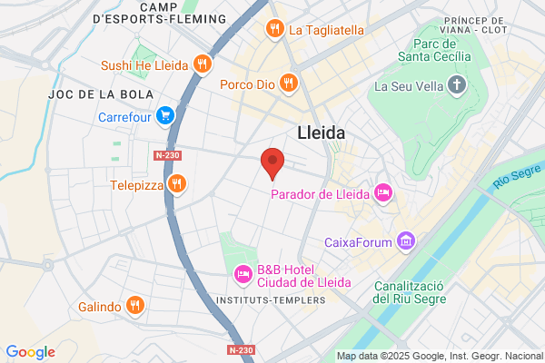 Lleida De Serveis De Neteja I Manteniments S.L.