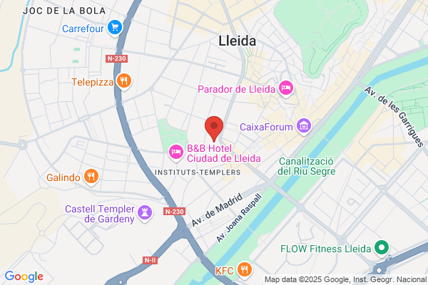 Peluqueries De Lleida Palacio Torres S.L.