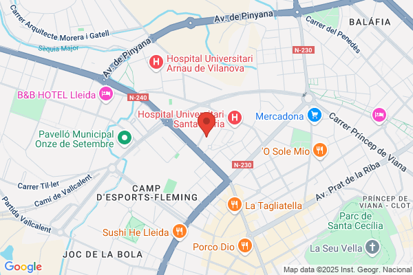Universitat De Lleida (Facultat De Medicina Informacio)