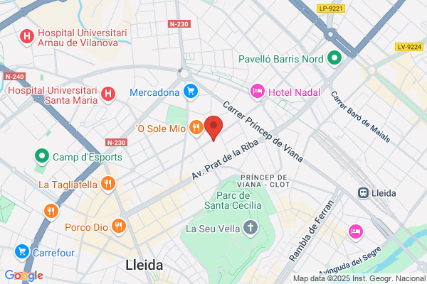 Mudanzas Lerida - Nacional Internacional Y Guardamuebles