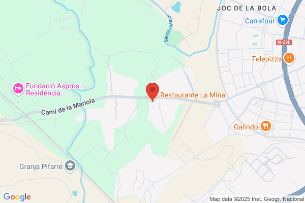 Restaurante La Mina