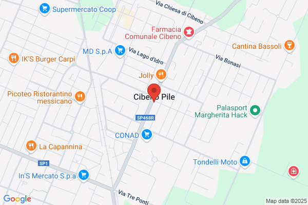 Carpi Buil j. L.