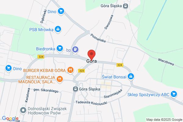 Gora