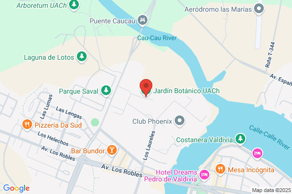 Valdivia Ocaña m.